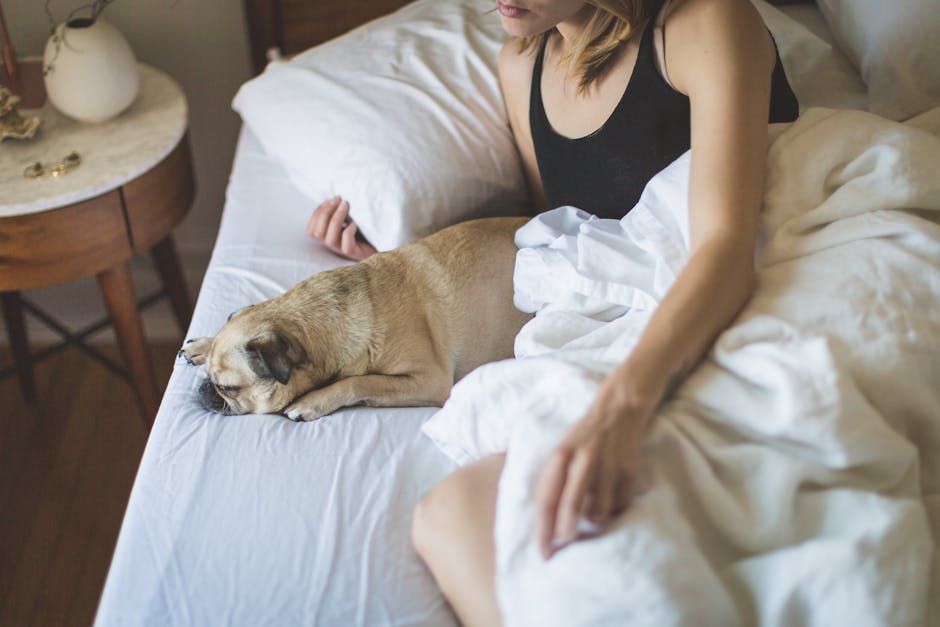 Top 5 Tips for Upholstered Furniture Care