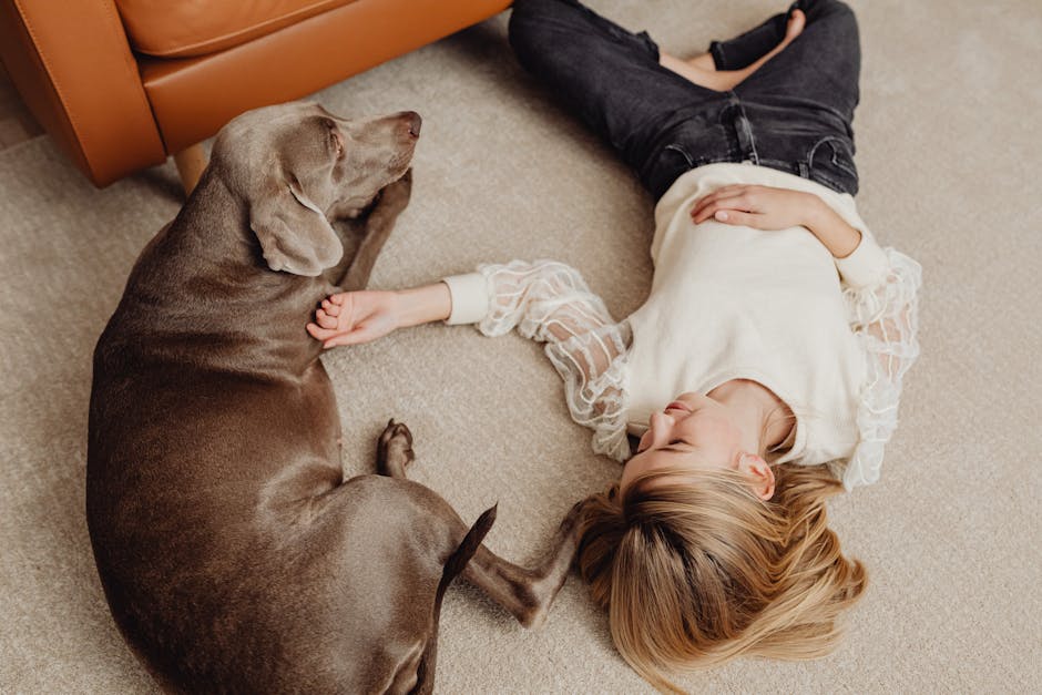 How to Remove Pet Hair from Upholstery