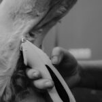 How to Remove Pet Hair from Upholstery
